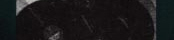 Counterfeit EP